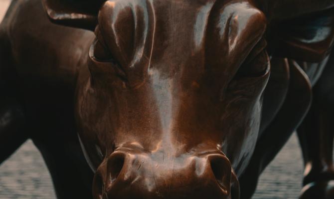 Detalle de la escultura del toro de Wall Street, NY.