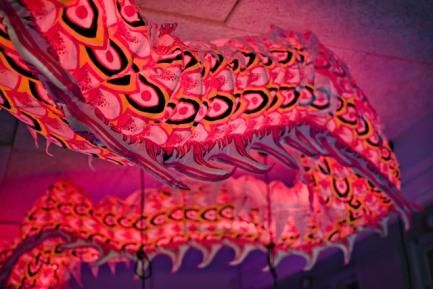 Decoración de dragon para el año nuevo chino. Photo by Peter Ivey Hansen on Unsplash